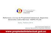 Reformas a la Ley de Propiedad Intelectual, Aspectos Generales sobre Normas “ADPIC PLUS”  por Juan Fernando Salazar