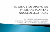Oiea y Apoyo a Programas Nucleoelectricos