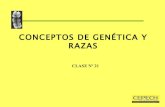 Clase 21; conceptos de genetica y razas