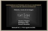 Analisis de  Harry Potter