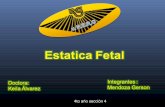 Obstetricia Estatica fetal