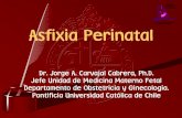 Go Clase 21.5 Asfixia Perinatal Dr Oliva