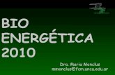 BioenergéTica 10