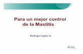Un mejor control de la mastitis fp MSD Salud Animal Salud Lechera