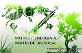 Motos Energia a partir de biomasa