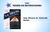 Presentacion toc(1)
