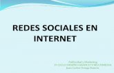 Redes Sociales En Internet Jc Ortega