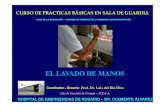 EL LAVADO DE MANOS. DISTINTOS TIPOS. Prof. Dr. Luis del Rio Diez
