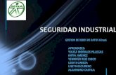 Diapositivas  seguridad industrial