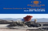 Memoria codelco 2009 - 2010