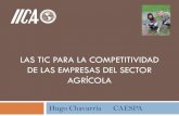 Las TIC para la competitividad de las empresas de la agricultura en Costa Rica