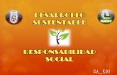 5.1 desarrollo sustentable   responsabilidad  social