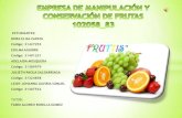 Fruttis tf[1]