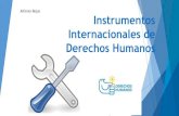 Instrumentos internacionales de derechos humanos en el mundo