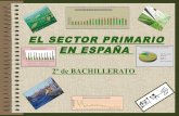 7. El  sector  primario  en  España