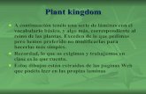 Plant kingdom, Reino plantas, vocabulario