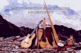 Membranófonos y aerófonos folklóricos argentinos