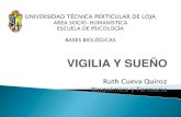 SueñO Y Vigilia (2)