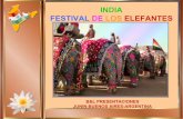 Festival De Los Elefantes