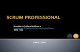 Scrum Professional - El Comercio 2012