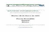Sintesis Informativa 250111