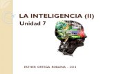 T7 inteligencia2