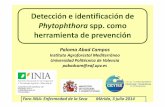 Diagnóstico de Phytophthora spp., gran laboratorio e instalaciones