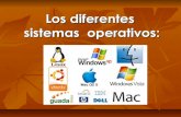 Los diferentes sistemas operativos en un ordenador.
