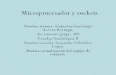 Microprocesador Y Sockets