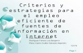 Criterios y estrategias para el empleo eficiente de fuentes de informacion en internet