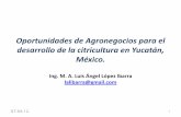 Oportunidades de agronegocios en los citricos de Yucatán, México.