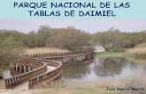 El Parque Nacional de las Tablas de Daimiel