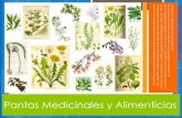 PLANTAS MEDICINALES Y ALIMENTICIAS