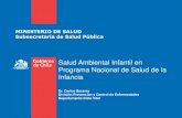 Inclusión de la Salud Ambiental Infantil en las políticas pública (C. Becerra)