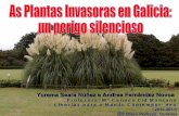 As plantas invasoras en galicia, un perigo silencioso