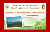Biomas y  ecosistemas  terrestres del  perú