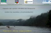 IMPACTO DEL CAMBIO CLIMÁTICO EN AMAZONÍA (SOBRE LOS CAUDALES Y LA PRECIPITACIÓN)
