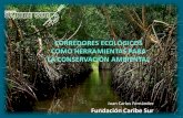 Caribe Sur Corredores Ecologicos Urbanos. Foro Valencia 18 nov