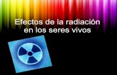 Efectos radiacion seres humanos