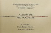 Album de micrrondas[1]
