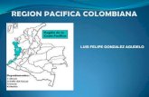 Region pacifica colombiana