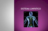 Sistema linfatico presentacion