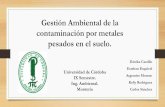 Legislacion colombiana sobre la contaminaciã n del recurso suelo (1)