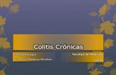 Colitis crónicas