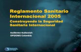 Rsi 2005   construyendo seguridad sanitaria internacional