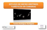 ESTUDIO DE MICRO-DESTINOS TURÍSTICOS EN CANARIAS