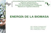 Energia de la Biomasa en Venezuela