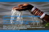 Mercantilización del agua potable en la OMC