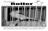 10. el canario roller