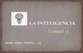T7  inteligencia